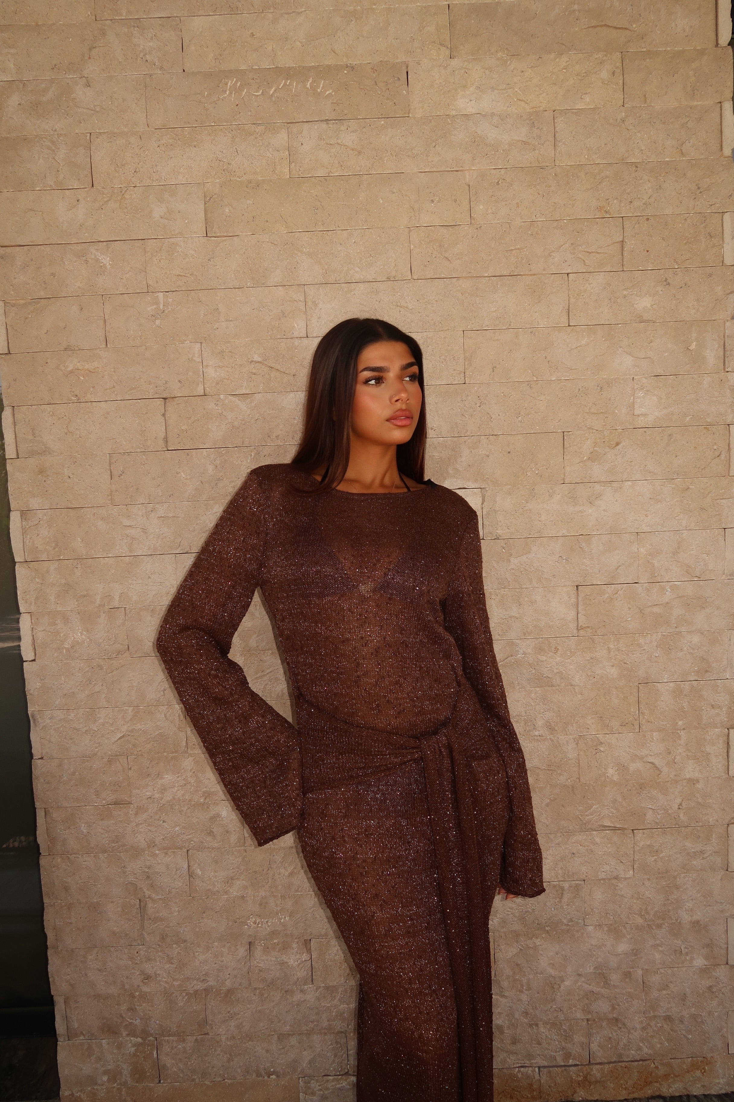Lumière Dress - Brown
